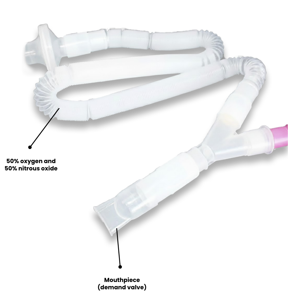 Pronox Hose